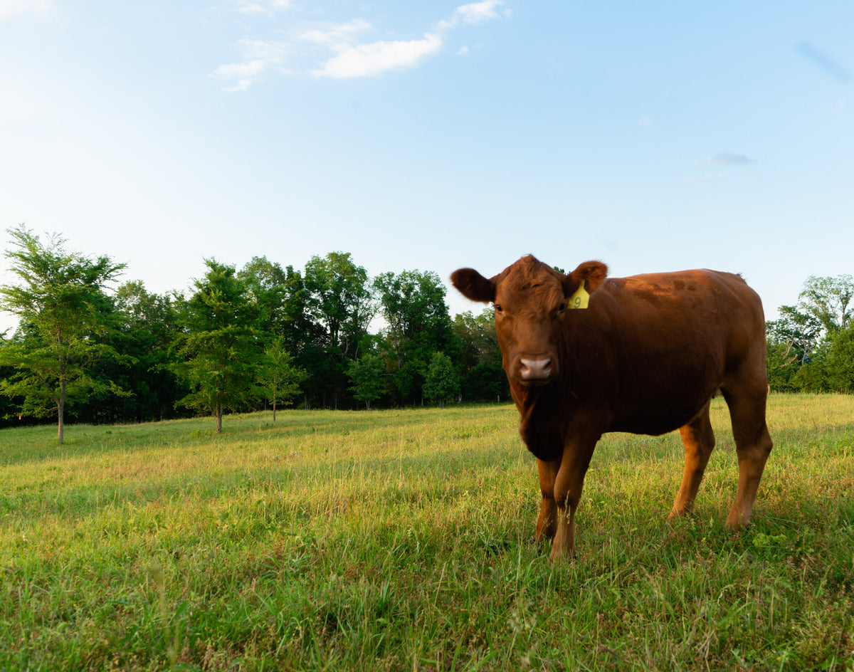 Lockwood Ranch | Making Healthy Affordable