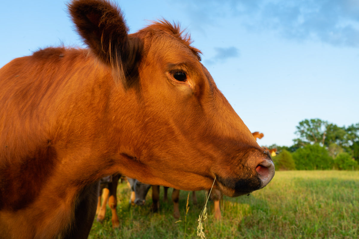 Contact Us – Lockwood Ranch