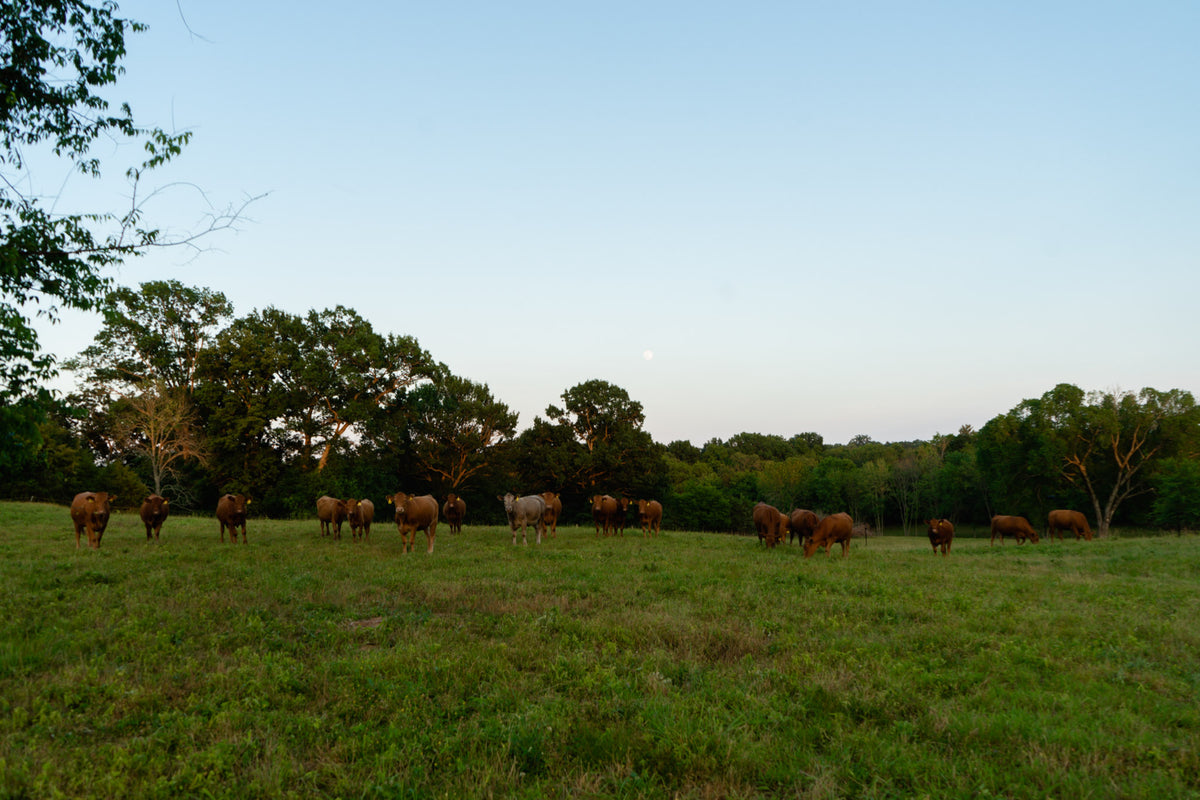 Contact Us – Lockwood Ranch