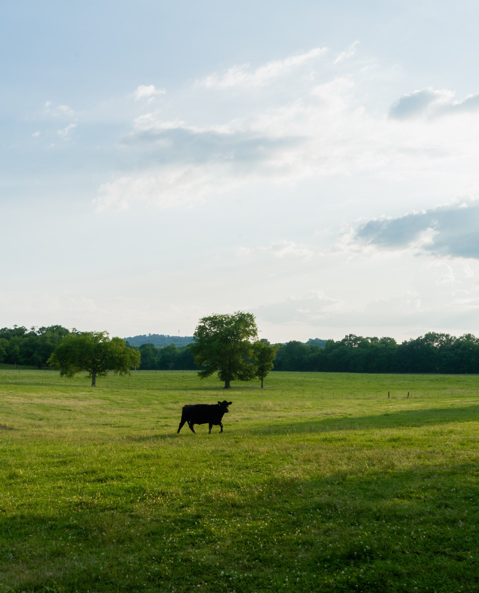 Lockwood Ranch | Making Healthy Affordable